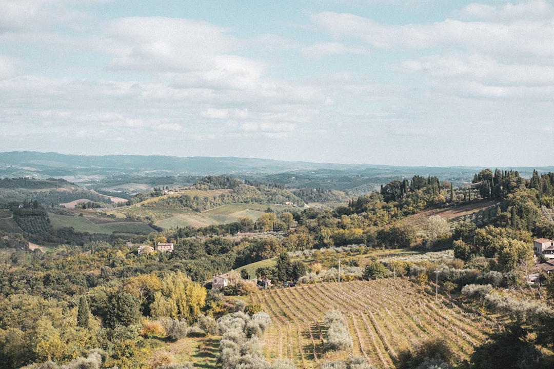 Tuscany countryside vineyards
