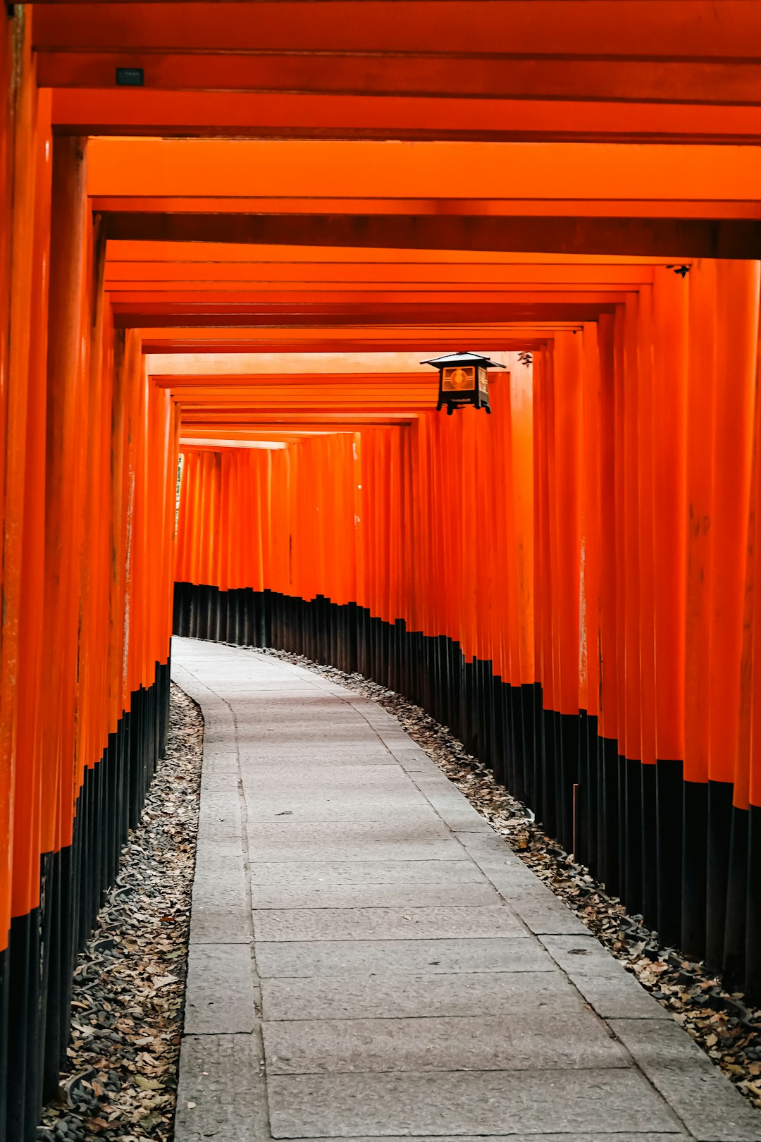 Fushimi Inari shrine vermillion torii gates in Kyoto