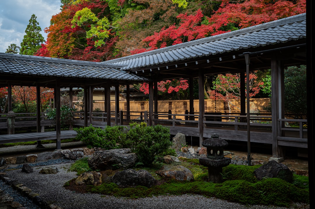 Traditional Japanese ryokan garden with bamboo