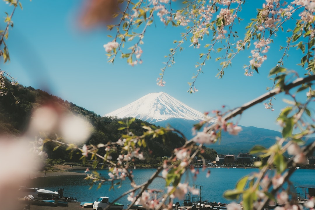 Mount Fuji framed by cherry blossoms during spring in Japan